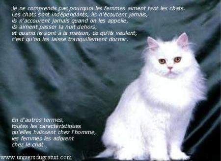 UN PEU D'HUMOUR ...